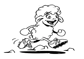 Logo trail du berger
