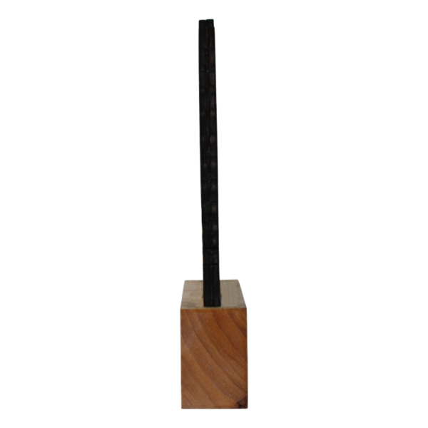 Trophée en bois - vue de profil