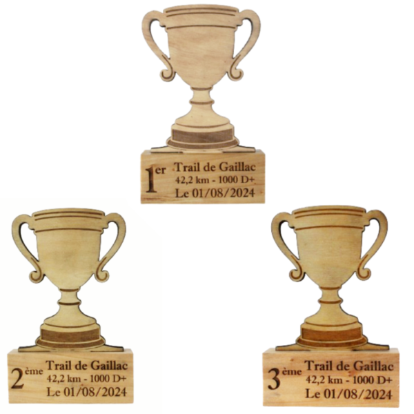 Lot de 3 trophées en bois en forme de coupe