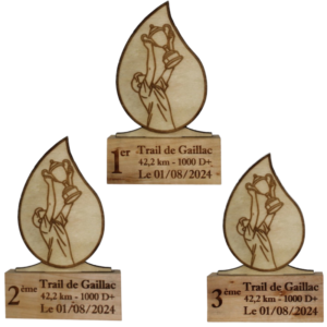 3 trophées en bois en forme de goutte - homme