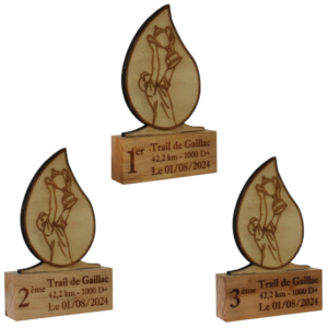 3 trophées en bois en forme de goutte - biais - homme