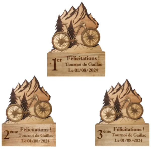 Trophées de VTT à personnaliser - en bois - montagne - vue de face