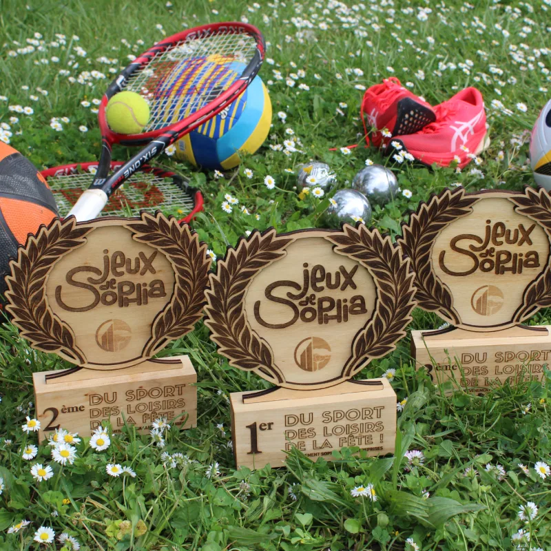 Trophée bois jeux de Sophia